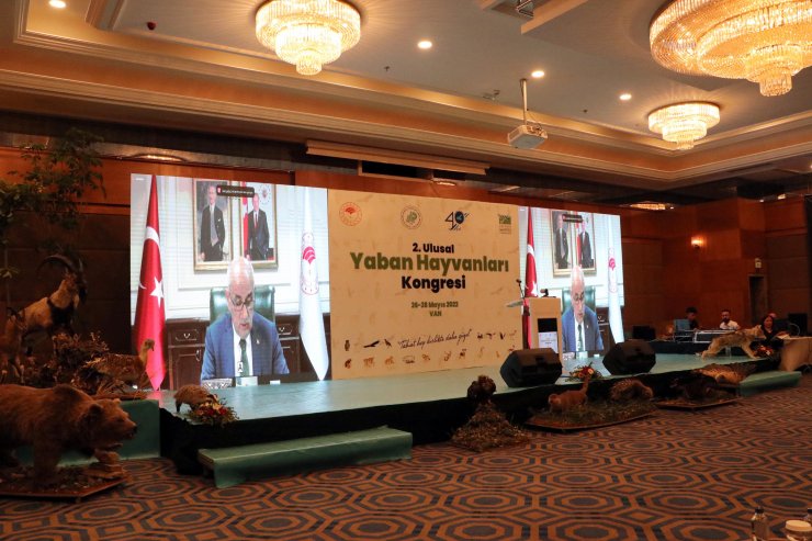 Bakan Kirişci: 1 milyon tür yok olma riski altındadır