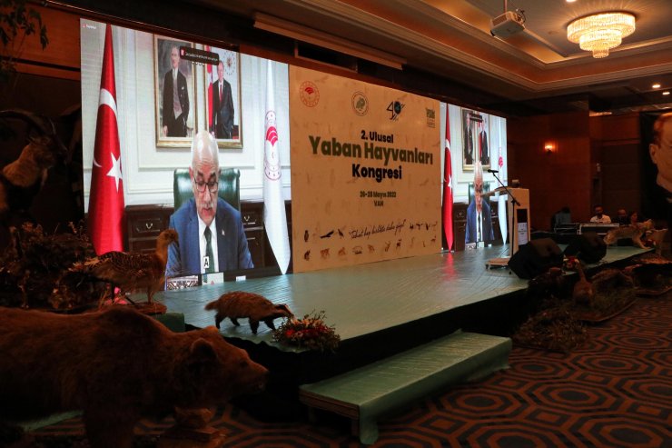 Bakan Kirişci: 1 milyon tür yok olma riski altındadır