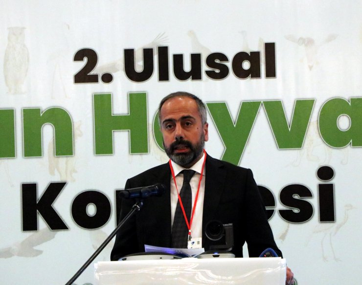 Bakan Kirişci: 1 milyon tür yok olma riski altındadır