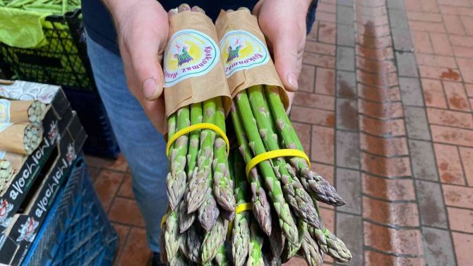 Dış görünüşü ile ilgi çekiyor, hamilelerin ilgi odağı