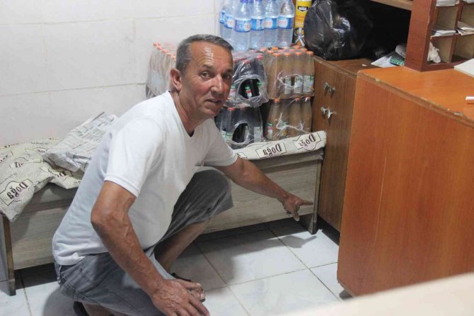 Kahvehaneye giren kirpiyi itfaiye ekipleri çıkardı