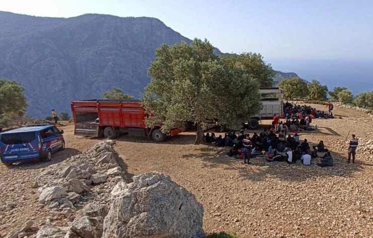 Muğla'da 237 kaçak göçmen yakalandı