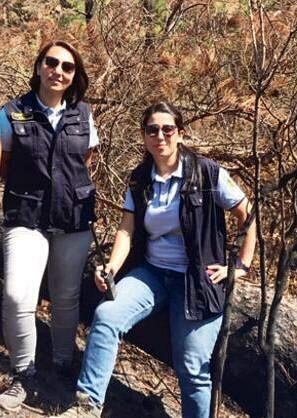 Orman yangınında 3 milyon liralık vurgun iddiasında tutuklu 3 sanık tahliye oldu