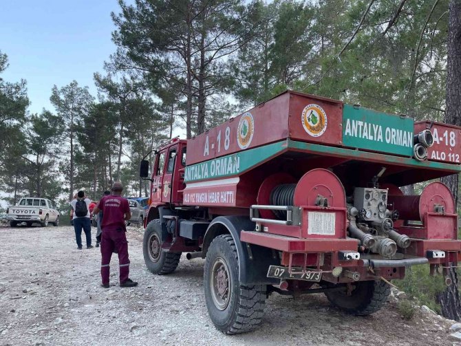 Orman yangınında 5 dönüm alan zarar gördü
