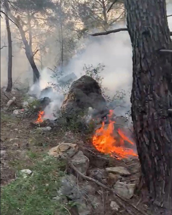 Orman yangınında 5 dönüm alan zarar gördü