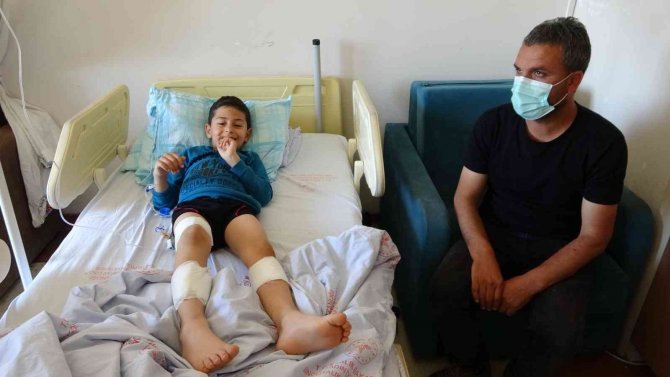 7 yaşındaki çocuk, köpeklerin saldırısına uğradı