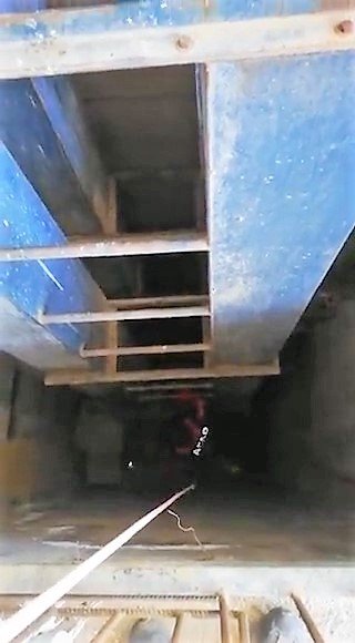 Diyarbakır'da 5 metrelik kuyuya düşen yavru tilkiyi AFAD kurtardı