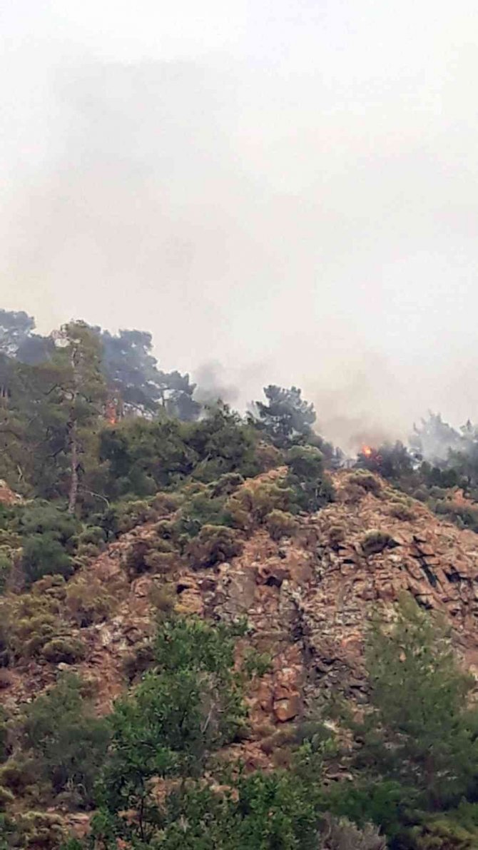 Fethiye’de orman yangını