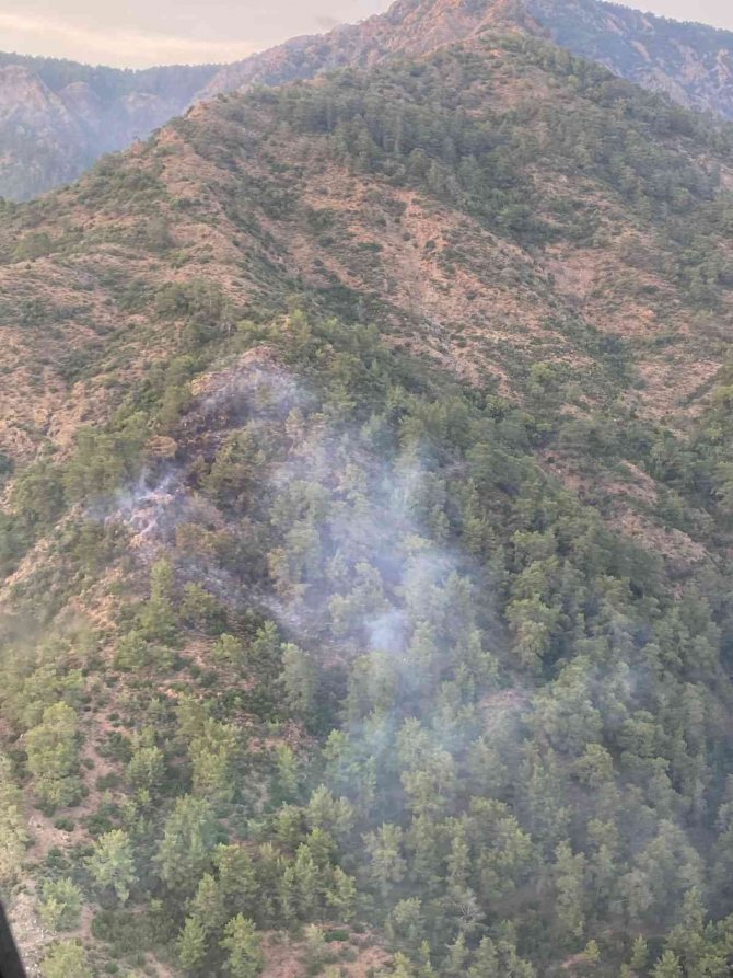 Orman yangını kontrol altına alındı