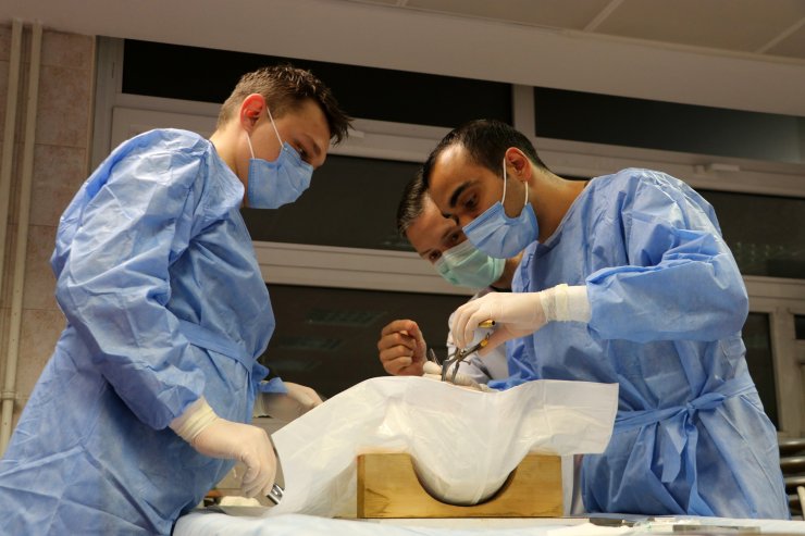 Plastik cerrahi uzmanlarına kadavra üzerinde eğitim