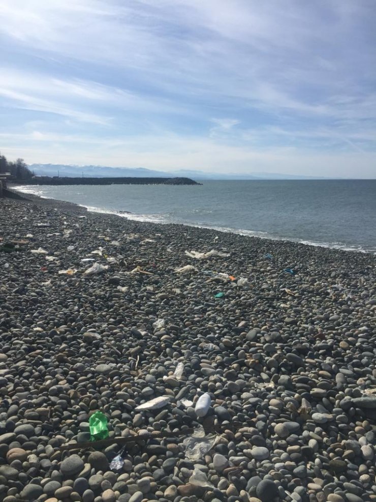 Ücretli uygulamayla 'poşet kirliliği' yüzde 81 azaldı