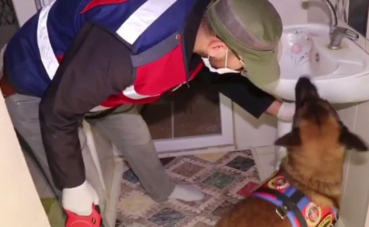 Ucuz fiyata koyun satma bahanesiyle dolandırıcılık