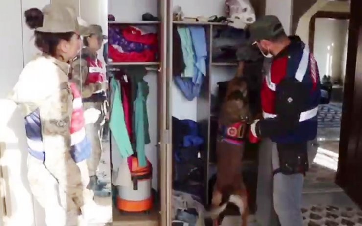 Ucuz fiyata koyun satma bahanesiyle dolandırıcılık