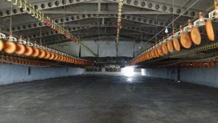 3 çocuk annesi Türkan, akrabası tarafından öldürüldü