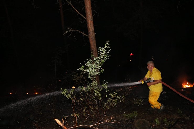 6 noktada çıkan orman yangını kontrol altına alındı