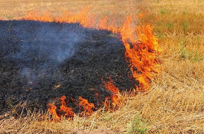 Çiftçilere ’Anız Yakmayın’ uyarısı