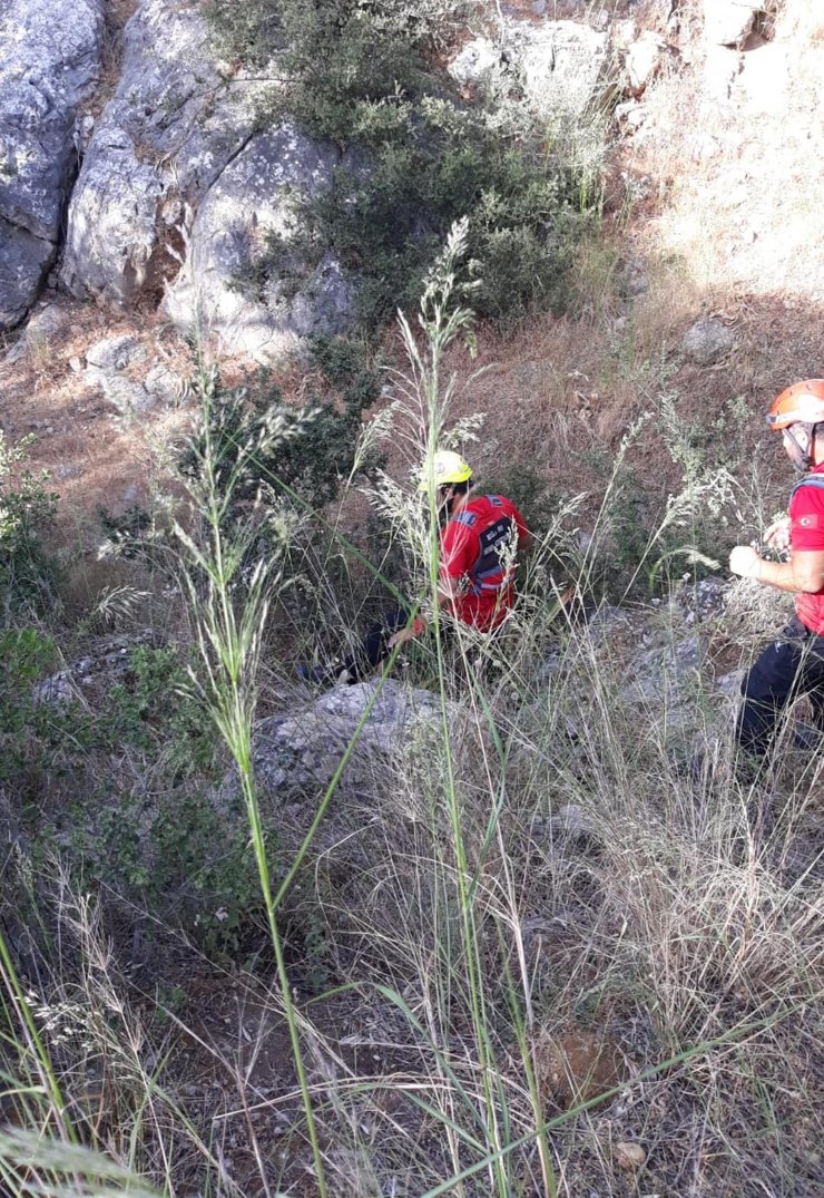 Kayıp kadın ormanda bulundu