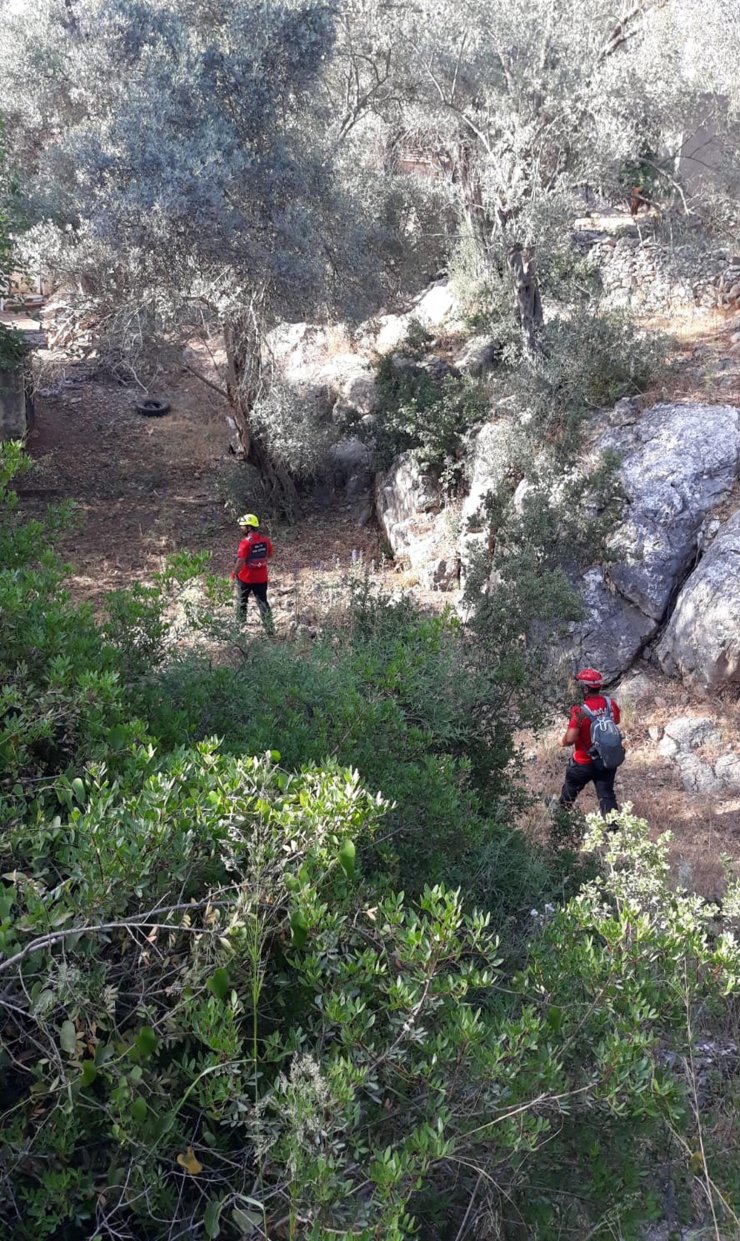 Kayıp kadın ormanda bulundu