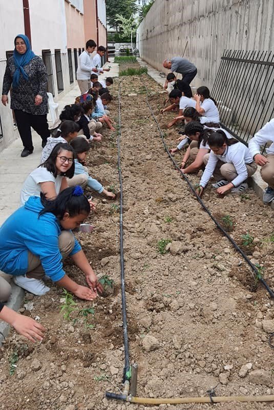 Okul bahçesinde organik tarım projesi