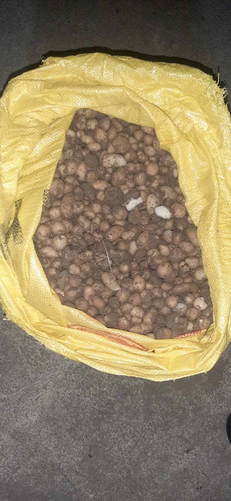 Salep soğanı toplayan 4 kişiye 438 bin lira ceza