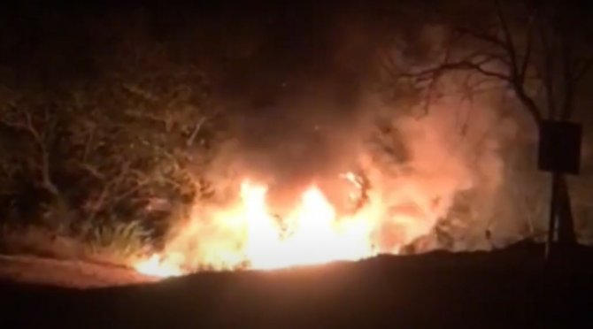 Ağaca çarpan otomobil, cayır cayır yandı