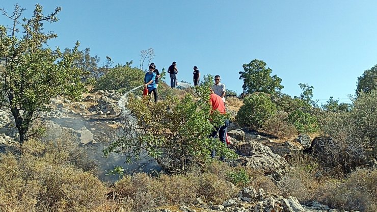 Alevler, Bodrum'da otluk ve makilik 2 dönüm alanı küle çevirdi