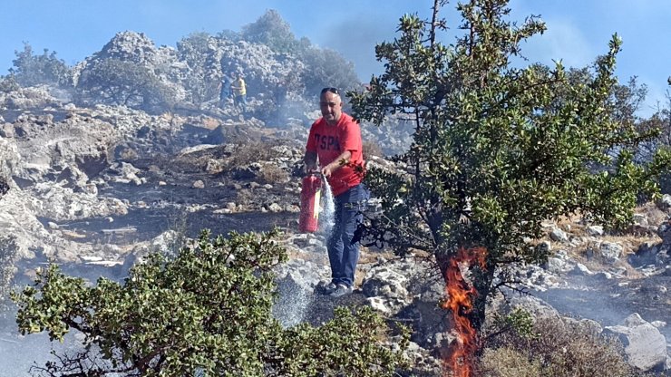 Alevler, Bodrum'da otluk ve makilik 2 dönüm alanı küle çevirdi