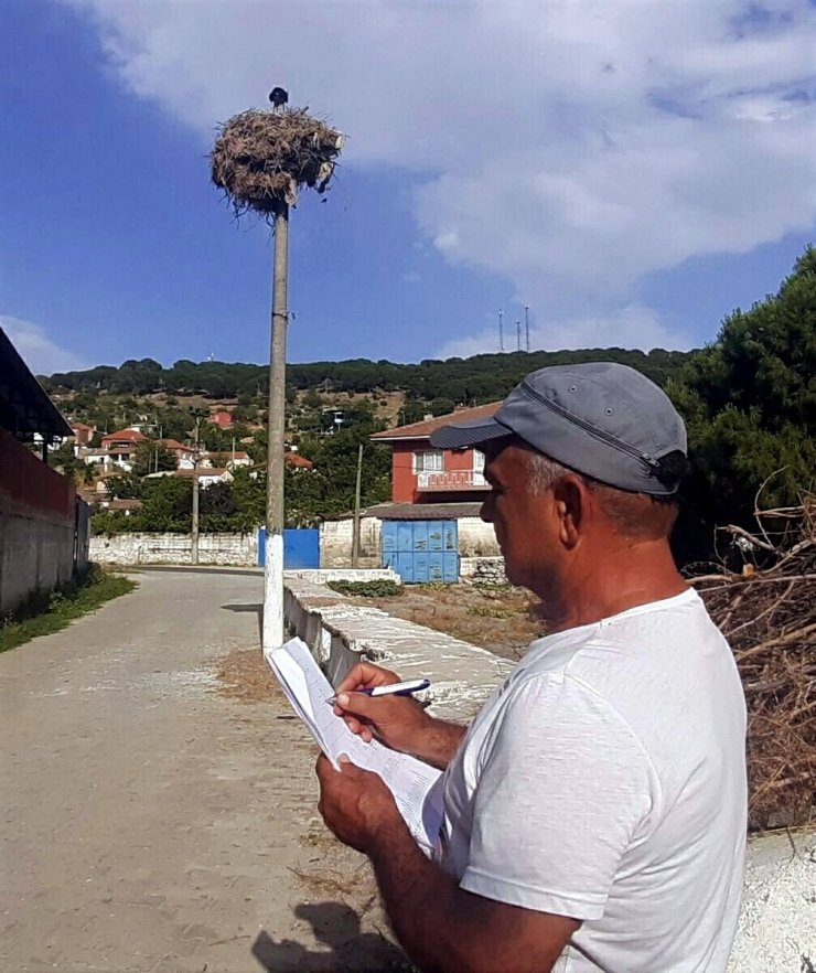 Aydın'da leylek sayısında geçen yıla oranda 39 düşüş yaşandı