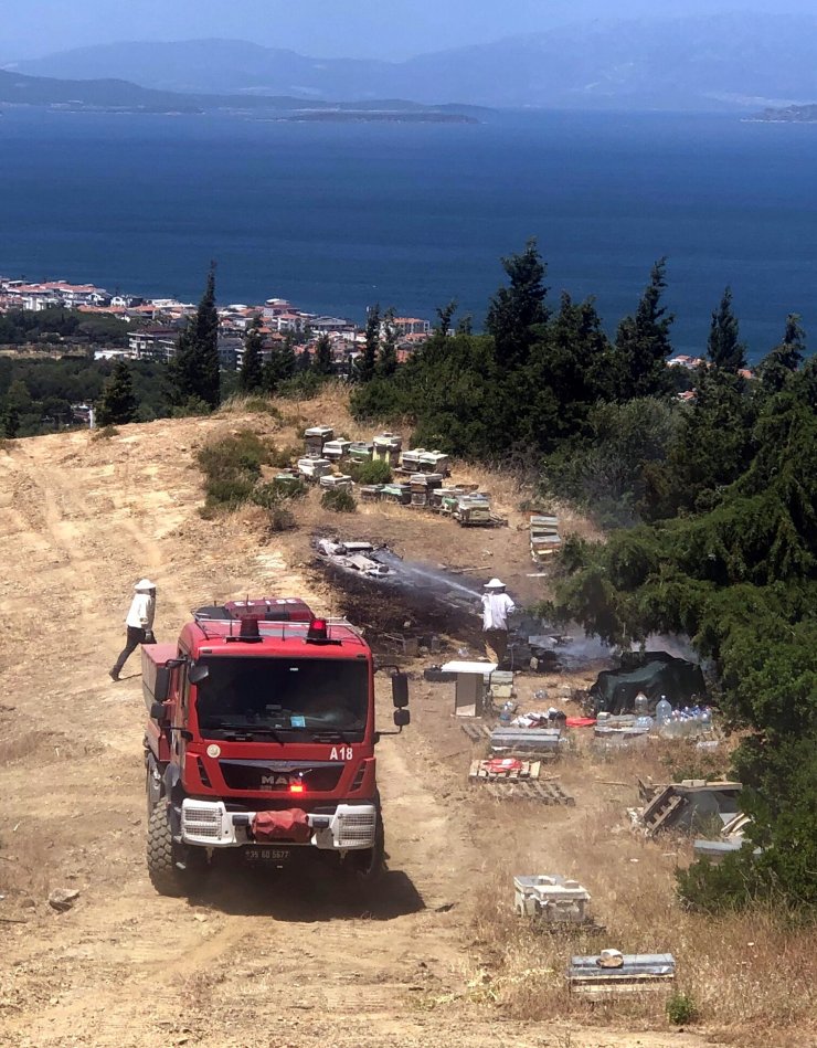 İzmir'de orman yangını