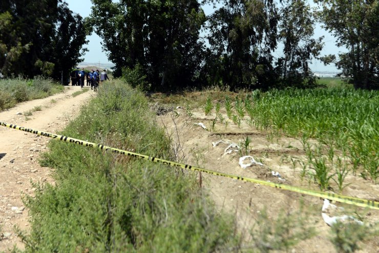 Mısır tarlasında erkek cesedi bulundu