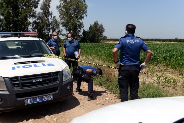 Mısır tarlasında erkek cesedi bulundu