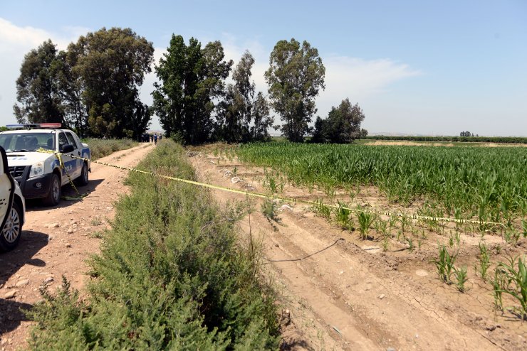 Mısır tarlasında erkek cesedi bulundu