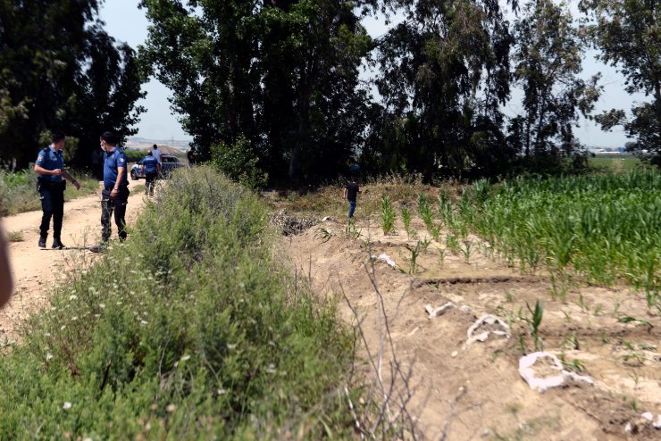 Mısır tarlasında erkek cesedi bulundu
