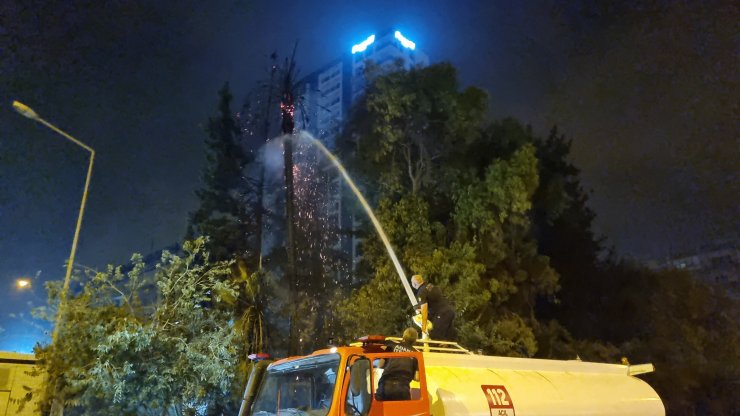 Adana'da bulvar üzerindeki ağaçların yanışını film gibi izlediler