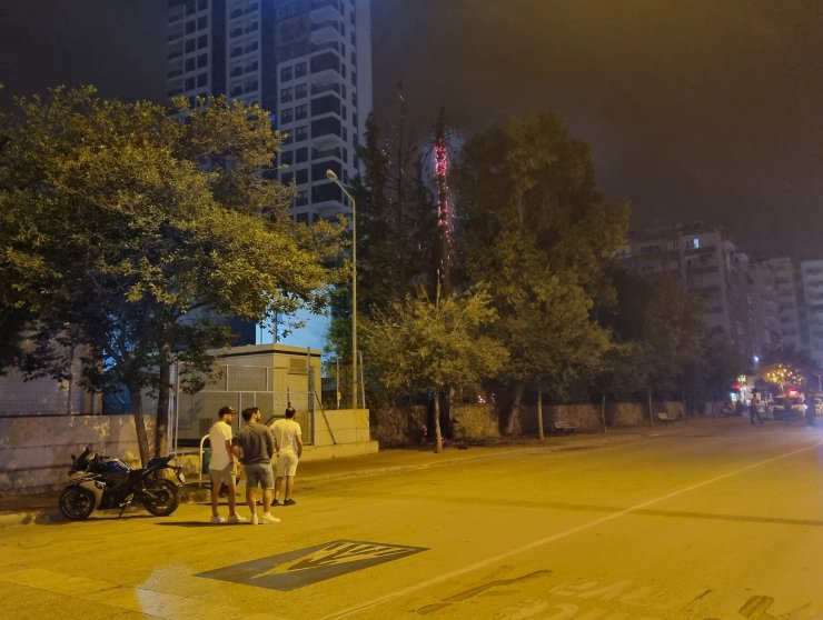 Adana'da bulvar üzerindeki ağaçların yanışını film gibi izlediler