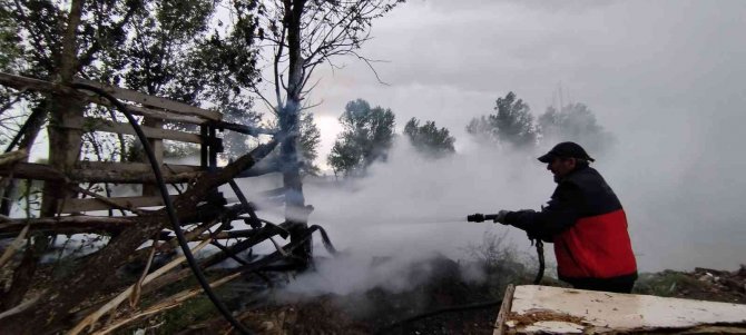 Ağıla yıldırım düştü