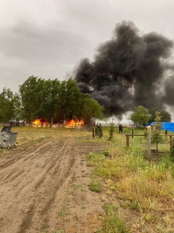 Ağıla yıldırım düştü