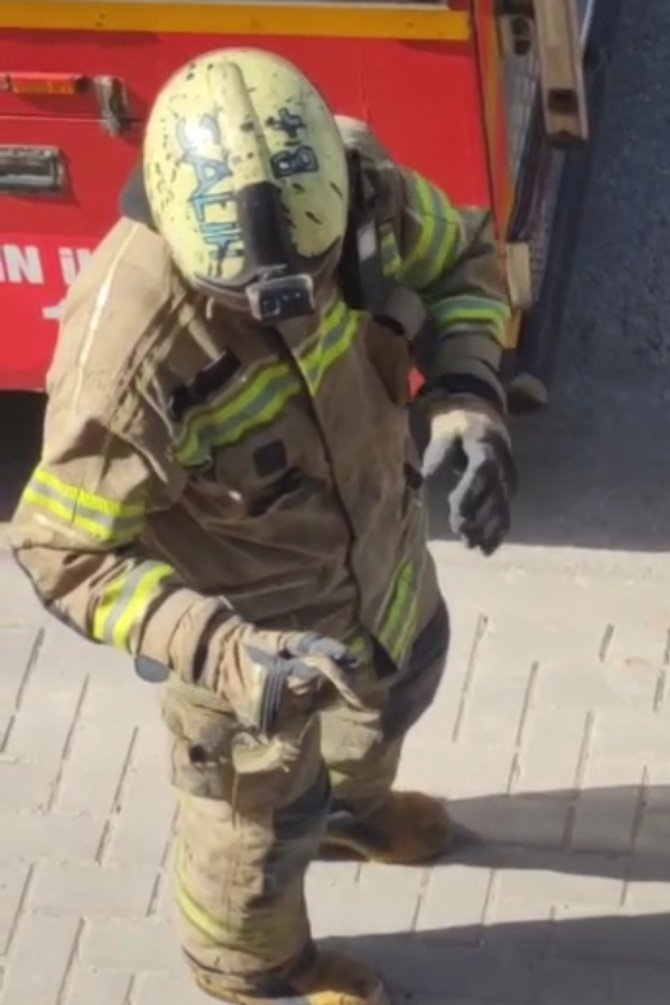 Arabanın motoruna yılan girdi