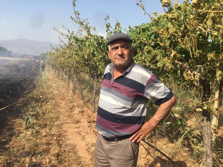 Buğday tarlası ve üzüm bağı yandı