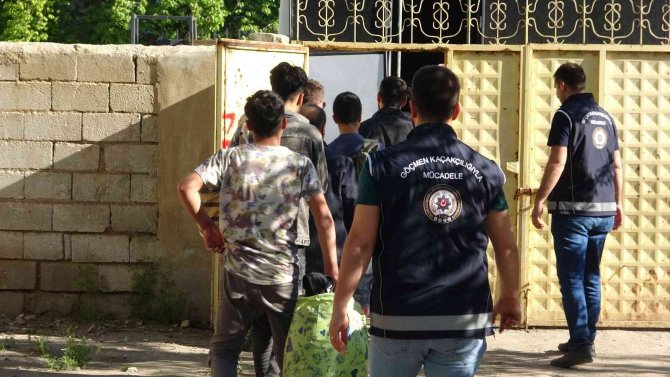 Düzensiz göçmenler yakalandı