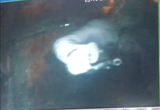 Pusu kurup öldürdü, ayağını kırınca yakalandı