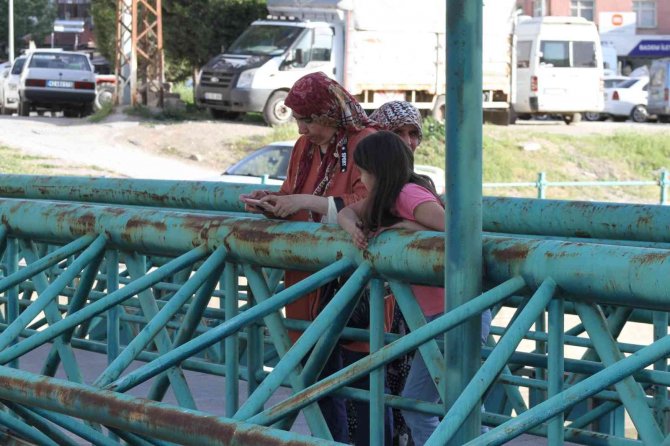 Vatandaşlar kanal kenarında film izler gibi tatlı su yılanı izliyor