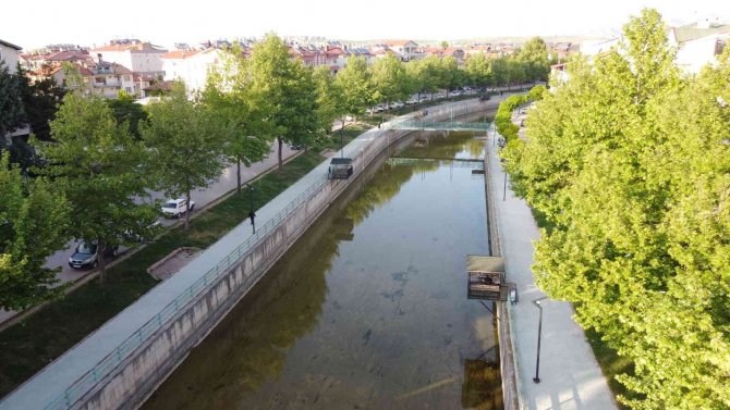 Vatandaşlar kanal kenarında film izler gibi tatlı su yılanı izliyor