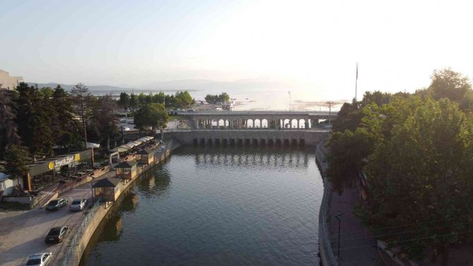 Vatandaşlar kanal kenarında film izler gibi tatlı su yılanı izliyor