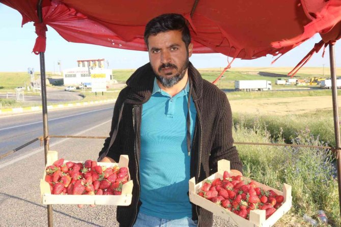 Yıllık kazancı 800 bin TL