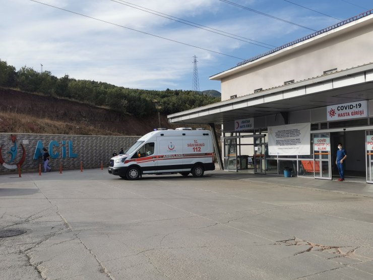 Ayı saldırısında yaralandı, at sırtında ambulansa kadar götürüldü