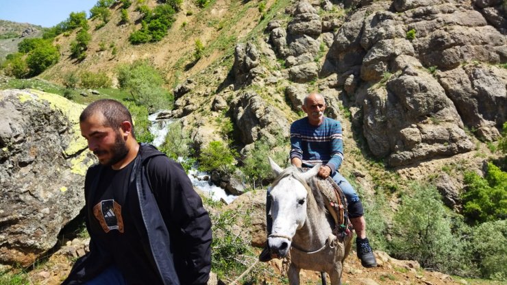 Ayı saldırısında yaralandı, at sırtında ambulansa kadar götürüldü