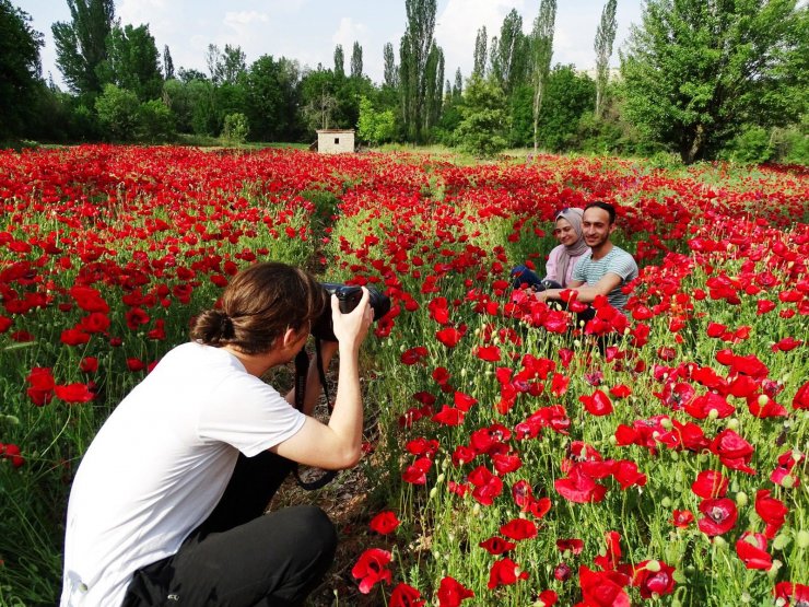 Çocuklarla gelincik güzelliği