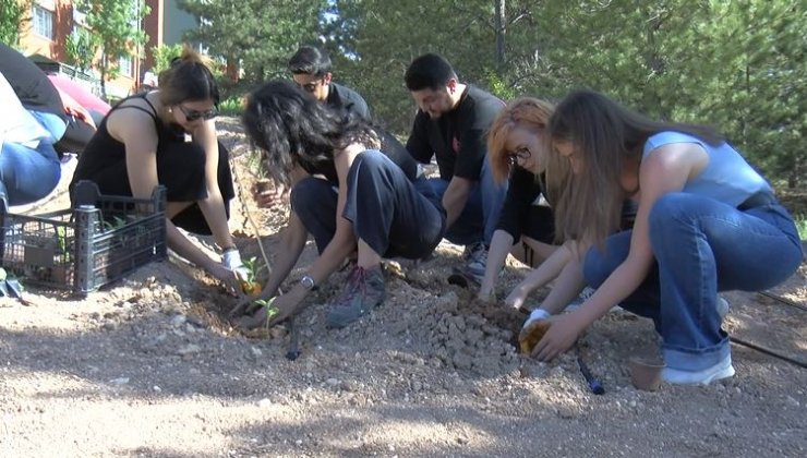 Hacettepe'de ata tohumları toprakla buluştu