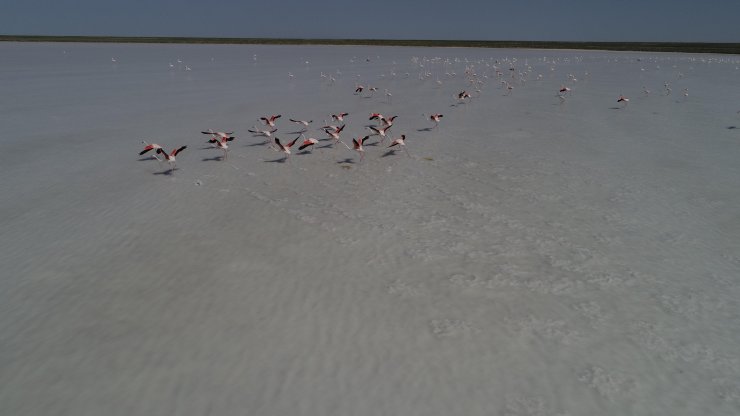 Kirliliğin önüne geçecek çözüm